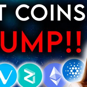 Alt Coins Dump! - Good Time to Buy??