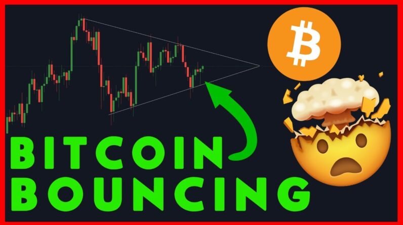 BITCOIN BOUNCING! HUGE TRADING OPPORTUNITIES!!!