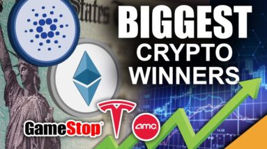 Ethereum & Cardano BIGGEST WINNERS of 2021 (Bitcoin Still Knocks out Gold)