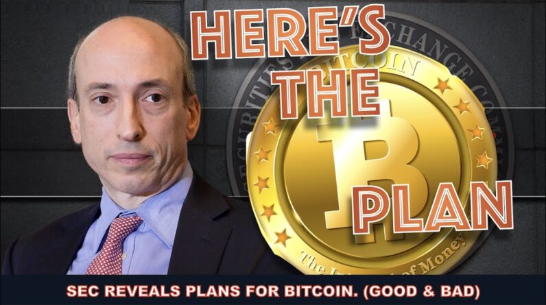 THE SEC TALKS ABOUT ITS NEXT MOVE & CITIBANK THINKS BITCOIN WILL BE THE NEXT WORLD TRADE CURRENCY