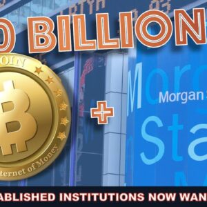 WHY MORE AND MORE LEGACY INSTITUTIONS LIKE MORGAN STANLEY & BNY MELLON ARE CHOOSING BITCOIN IN 2021.