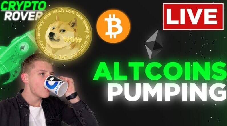 ALTCOINS CONTINUE TO PUMP! BUT WHAT ABOUT BITCOIN??