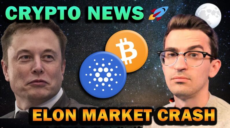 Crypto Market Crash and Bullish Altcoins