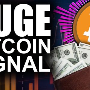 HUGE Bitcoin BUY Signal Flashes (Top Reason Experts LOVE BTC)