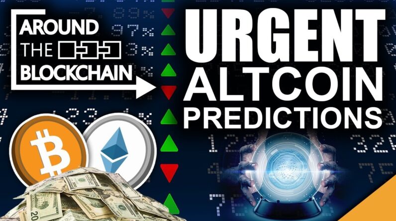 URGENT Altcoin Predictions (Is Elon Crash Over?)