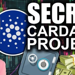#1 Top SECRET Cardano Project (BEST Crypto of 2021)