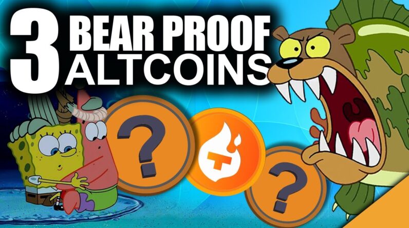 BEST Bear Market Proof Coins (3 Smartest Crypto Investments)