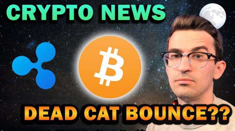 BITCOIN DEAD CAT BOUNCE?? Ripple XRP Lawsuit