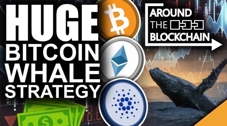 HUGE Bitcoin Whale Strategy Revealed For 2021 (Best Altcoin Picks)