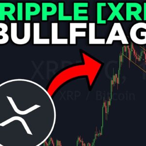 ALL XRP (Ripple) HOLDERS MUST SEE THIS BULL FLAG RIGHT NOW!!!