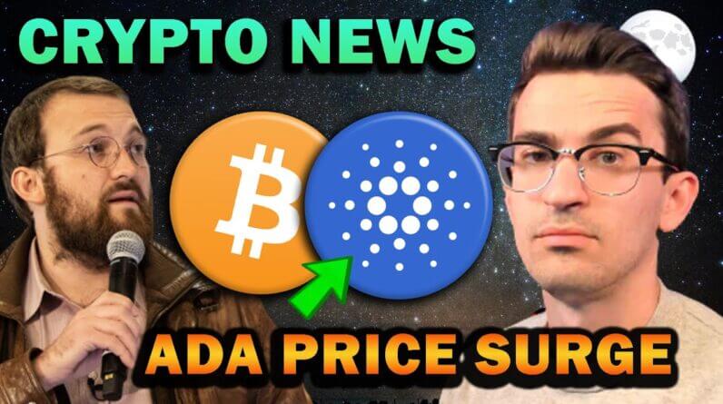 CRYPTO NEWS - CARDANO PRICE SURGE, NFT BOOM COMING