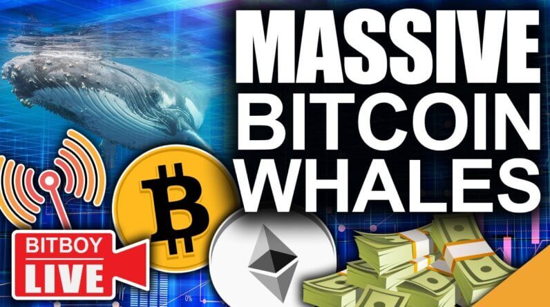 Massive $222 Million Bitcoin Buy Signal (Ethereum Supply Crisis)