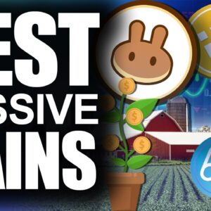 Top 4 Yield Farms on Pancake Swap (BEST Passive Crypto Gains)