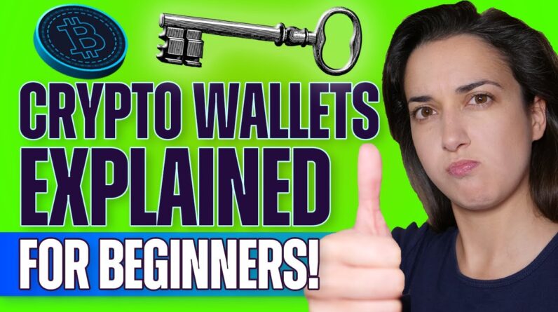 Crypto Wallets Explained (Beginners' Guide!) - How to Get Crypto Off Exchange Step-by-Step
