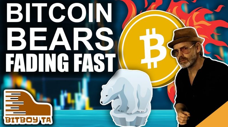 Bitcoin Bears Fading FAST (Crypto Charts Are Still Pumping)