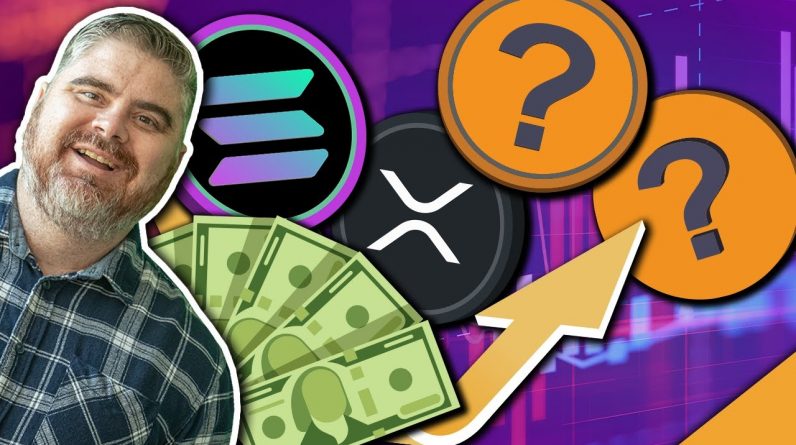 Top Coins for November