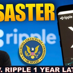 1 YEAR ANNIVERSARY: SEC V. RIPPLE CASE. A DISASTER FOR EVERYONE.