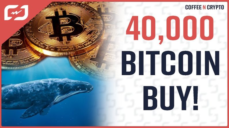 40,000 BTC Buy! Bitcoin Prepares For Rally Following Final Stage Of Downtrend? Coffee N Crypto LIVE