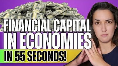Importance of Financial Capital in Economies (In 55 Seconds!) #shorts