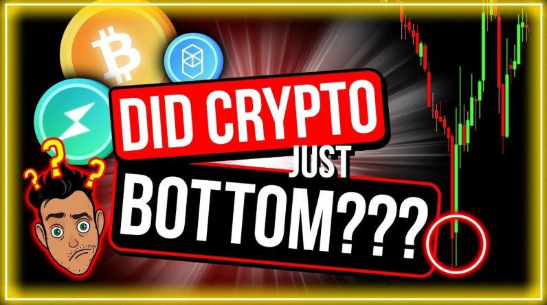 IS THE BITCOIN PRICE BOTTOM IN? (7 BEST REASONS WHY I THINK IT IS)