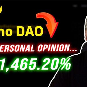 Fino Dao Review | Red Flags? My Thoughts on Fino Dao