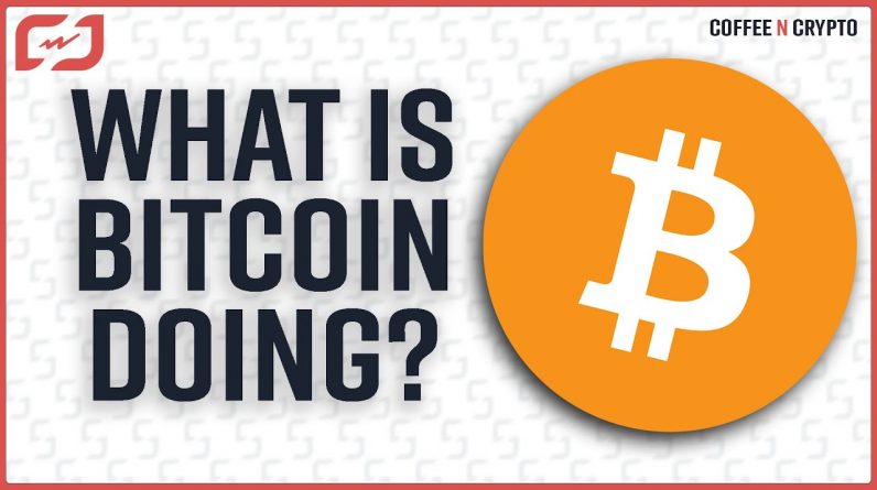 What Is Bitcoin Doing Today? - Coffee N Crypto LIVE