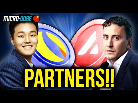 Huge Crypto News! This Partnership Changes Everything For Two Altcoins!
