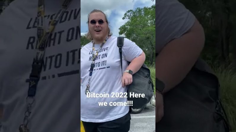 Turtle King is ready for Bitcoin 2022