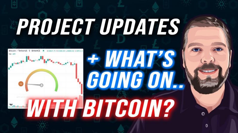 Crypto Project Update + Bitcoin / Is Bitcoin Going to Crash?!