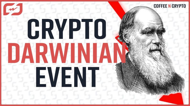 Bitcoin Darwinian Event To WIPE OUT 90% Of Altcoins? - Coffee N Crypto LIVE