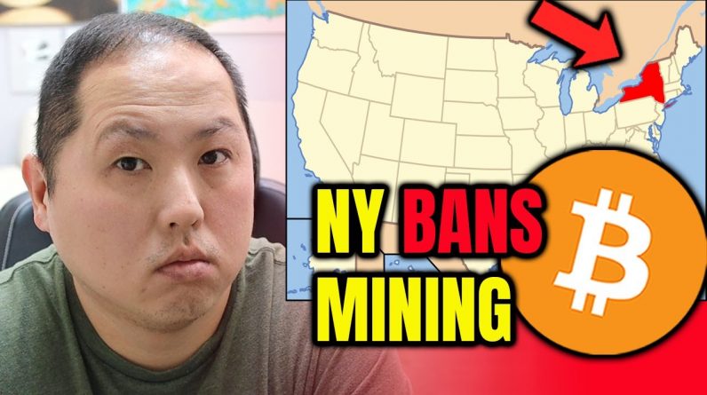 NEW YORK BANS BITCOIN MINING